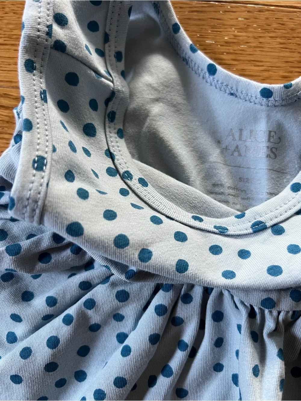 NWOT Alice + Ames Tank Ballet Dress in Blue Dot / Size 5